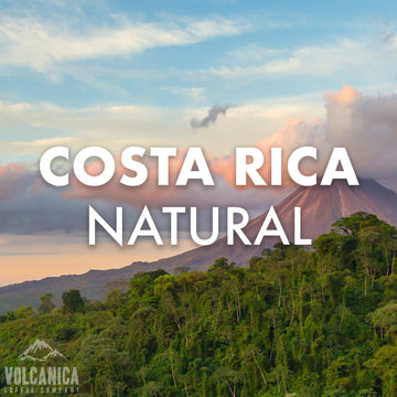 Costa Rica Coffee, Natural Process, Whole Bean, Fresh Roasted, 5 Lbs