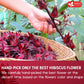 FRESHDRINKUS Premium Hibiscus Flower Powder, 100% Natural, 16oz, No Additives, Vegan