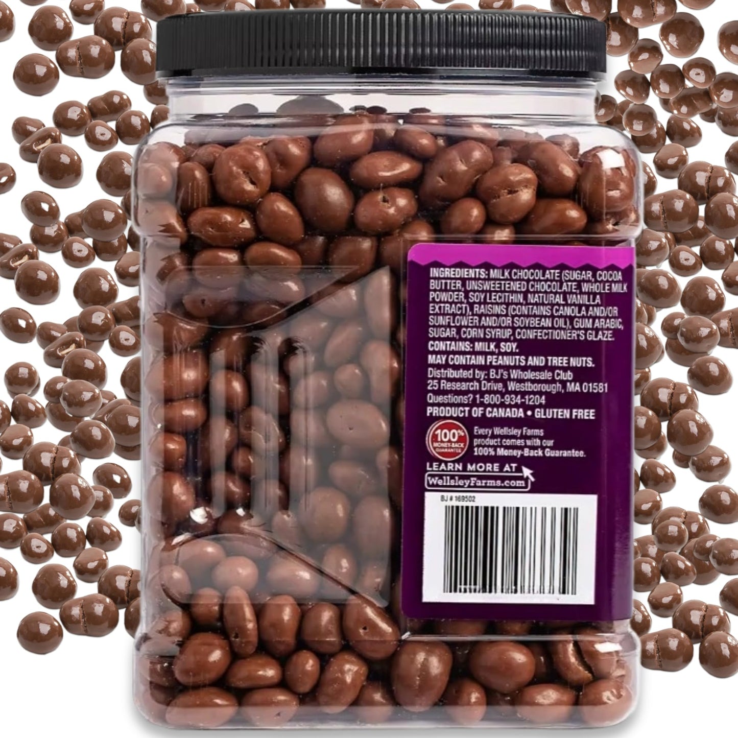 Wellsley Farms Milk Chocolate Covered Raisins, 50 Ounce, Kosher, Gluten-Free, Sweet Sun-Dried Raisins, Model 888670065471