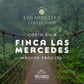 Costa Rican Coffee, Finca Las Mercedes Tarrazu, Whole Bean, Medium Roast, Washed Process, Fresh Roasted, 16-Ounce