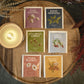 Acorus | Autumn Taste Tea Set | Natural Tea Hamper Box Gift Set Of 6 Flavors | Discover Rich Autumn Teas | Tea Gift Sets | Large