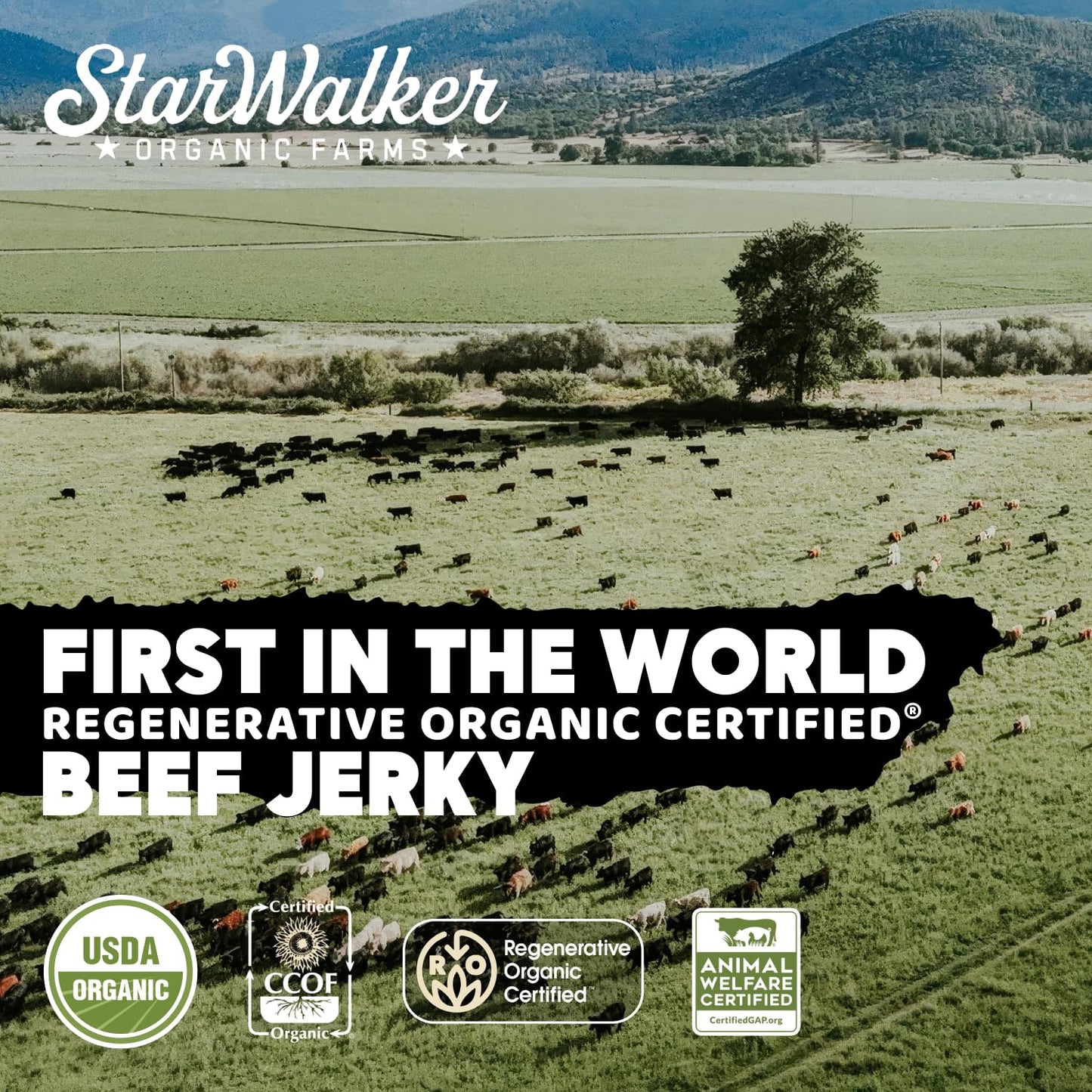 StarWalker Organic Farms Simply Salt and Pepper Beef Jerky - Organic, Regenerative Organic Certified, 42g Protein, No Nitrates,