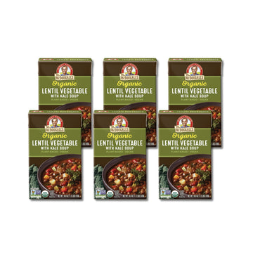 Dr. McDougall's Right Foods Organic Lentil Vegetable w/ Kale Vegan Soup, 18 Ounce (Pack of 6) Gluten-Free, USDA Organic, Non-GMO