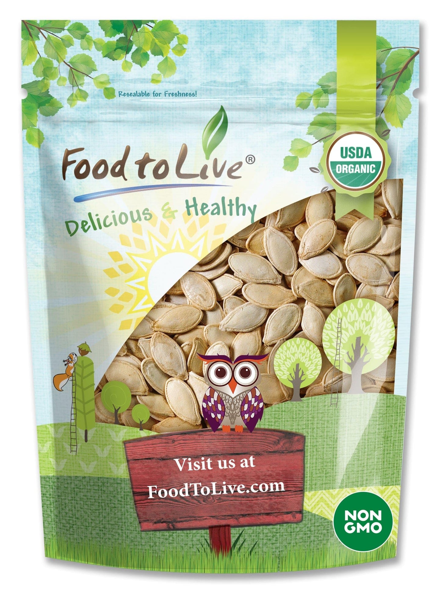 Food to Live Organic Dry Roasted Pumpkin Seeds in Shell with Himalayan Salt, 6 Ounces - Nutritious Snack Made from Premium Non-G