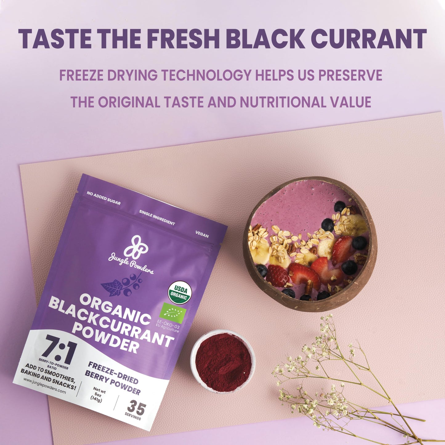 Jungle Powders Organic Black Currant Powder - 5 oz Freeze Dried Fruit for Smoothies, Baking, and Flavoring - Purple Blackcurrant Extract