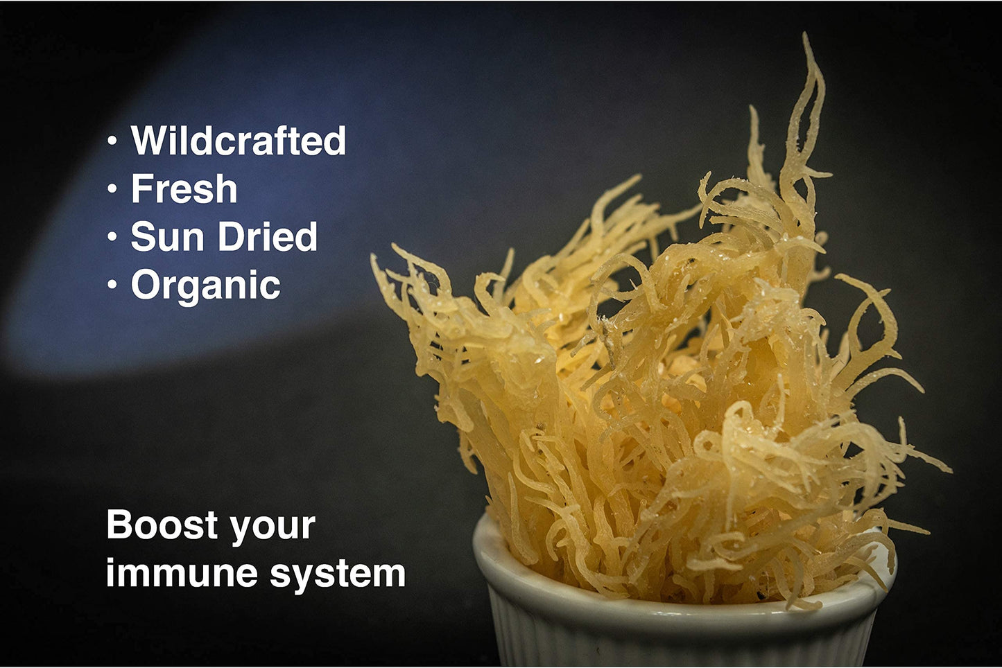 Dried Sea Moss (3 Oz (pack of 2)) - Caribbean Superfood - Wildcrafted Seedstock - Ethically Harvested - Makes 4 Quarts Gel