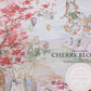 Allens Scottish Shortbread | Cherry Blossom & Chocolate Chip Flavor- 3.25 oz 4 Pack