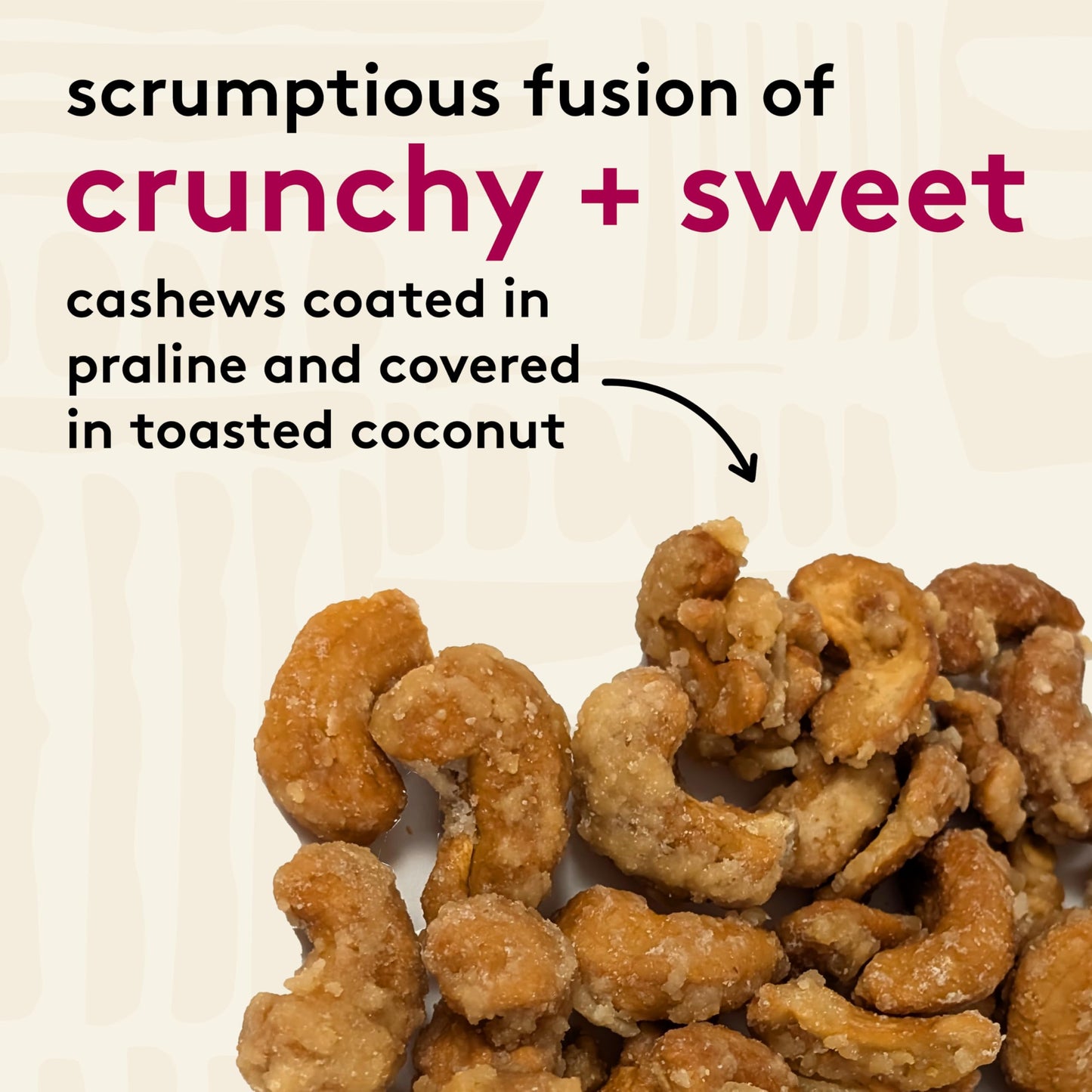 Snak Club Coconutty Cashews, Kettle Cooked Fancy Cashews with Toasted Coconut, Gluten-Free and Kosher Snack, 2.5 oz Snack Bags,