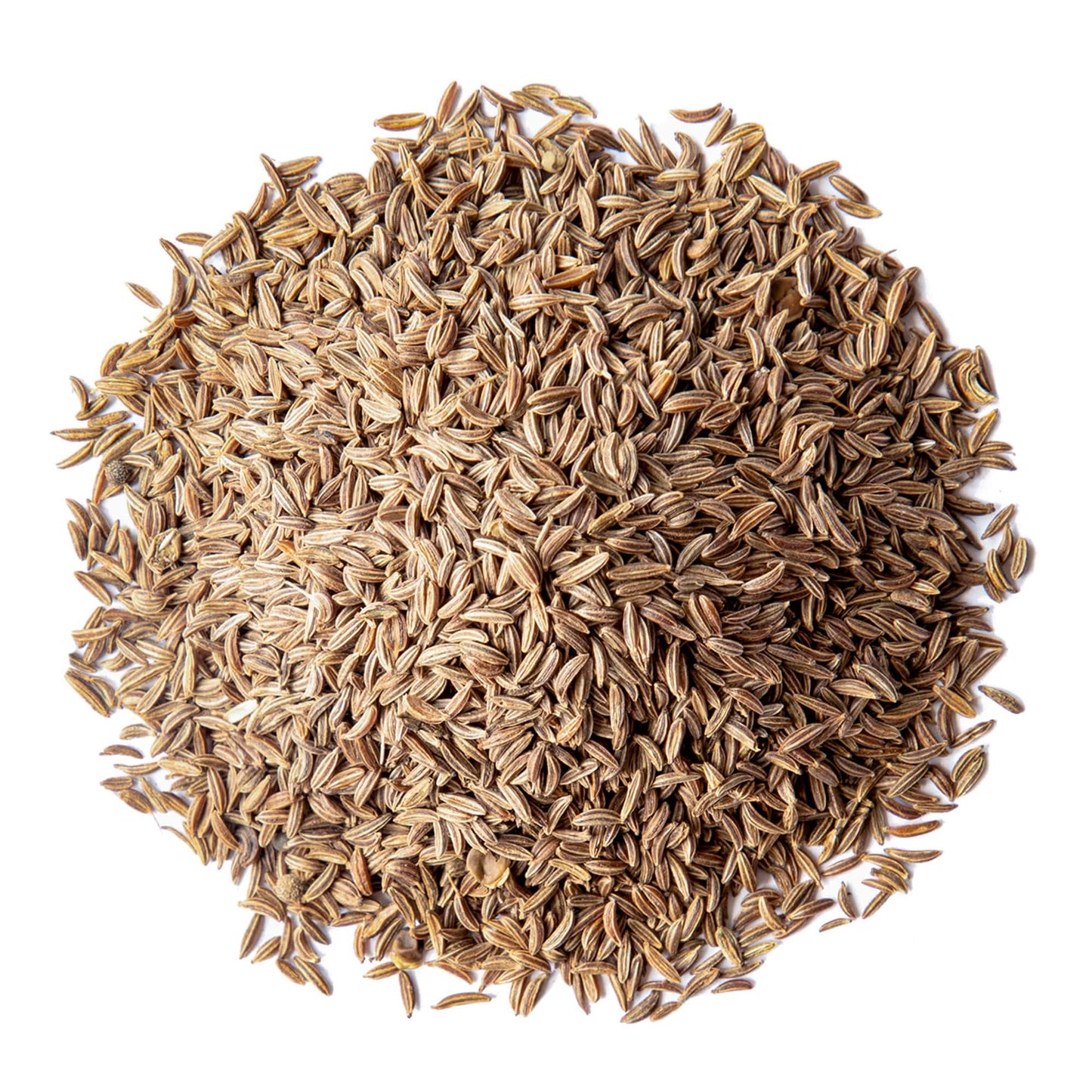 Food To Live - Organic Caraway Seeds, 14 Pounds - Non-Gmo. Great For Baking, Pickling And Cooking. Non-Irradiated. Whole Dry Spi