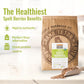 Grand Teton Organic Spelt Berries, Whole Grain, Nutritious Baking Staple, 25 lbs