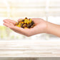Traina Home Grown Sun Dried Bakers Fruit Medley - Diced Peaches, Cranberries, Apricots, Pears, Nectarines, and Raisins - Non GMO