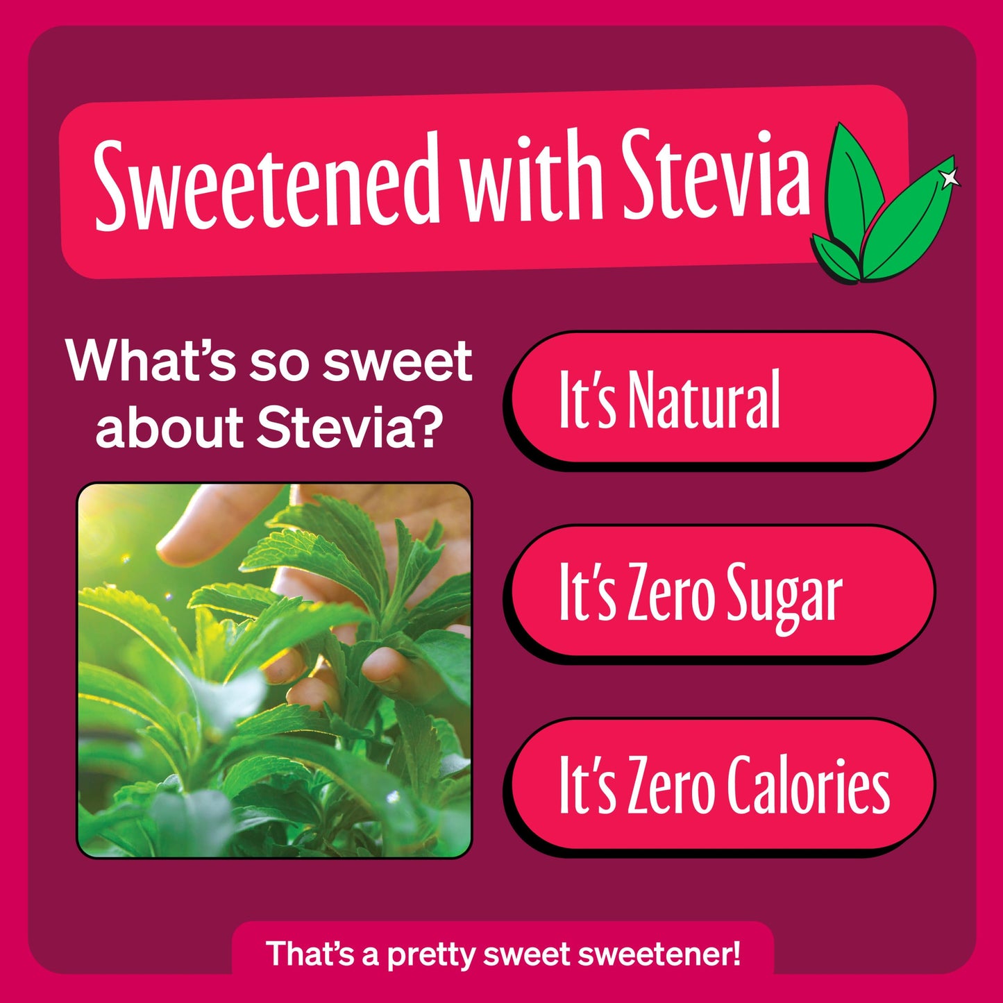 Zevia Zero Sugar Soda, Dr. Zevia, 12 oz Cans (24-Pack) - Naturally Sweetened, Zero Calorie Sugar Free Soda - Non-GMO Project Ver