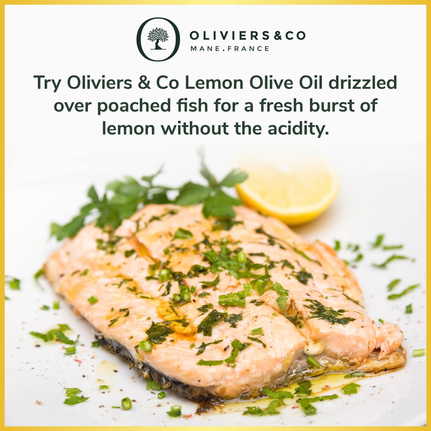 Lemon Olive Oil by Oliviers & Co. | Cold Pressed Extra Virgin Olive Oil and Fresh Lemons | Everyday and Cooking EVOO from Italy