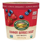 Natures Path Organic Summer Berries Oatmeal Cup 1.94 Oz