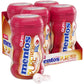 Mentos Pure Fresh Sugar-Free Chewing Gum With Xylitol, Cinnamon, Bulk, 50 Piece Bottle (Pack Of 4)