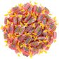 Bulk Jolly Ranchers | 1 lb Aromatik box with Aromatik mint card | Watermelon
