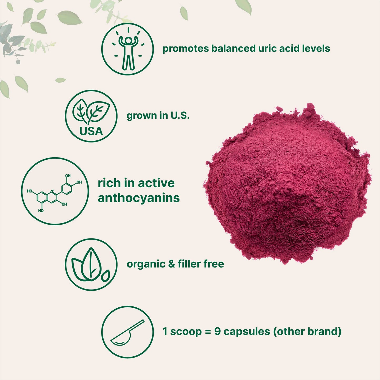Micro Ingredients Organic Tart Cherry Powder - 4 Ounce, Antioxidant, Uric Acid Cleanse, Supports Joint Health & Sleep Cycles