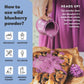 Loov Organic Wild Blueberry Powder - 41-Day Supply, 8.8 Oz, Good For Smoothie & Breakfast, Freeze-Dried, From Northern Europe, N