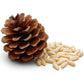 Cerez Pazari World Famous Mediterranean Turkish Pine Nuts In Resealable Bag 4 Oz- Cam Fistigi - Premium Quality, Raw, Unsalted,%