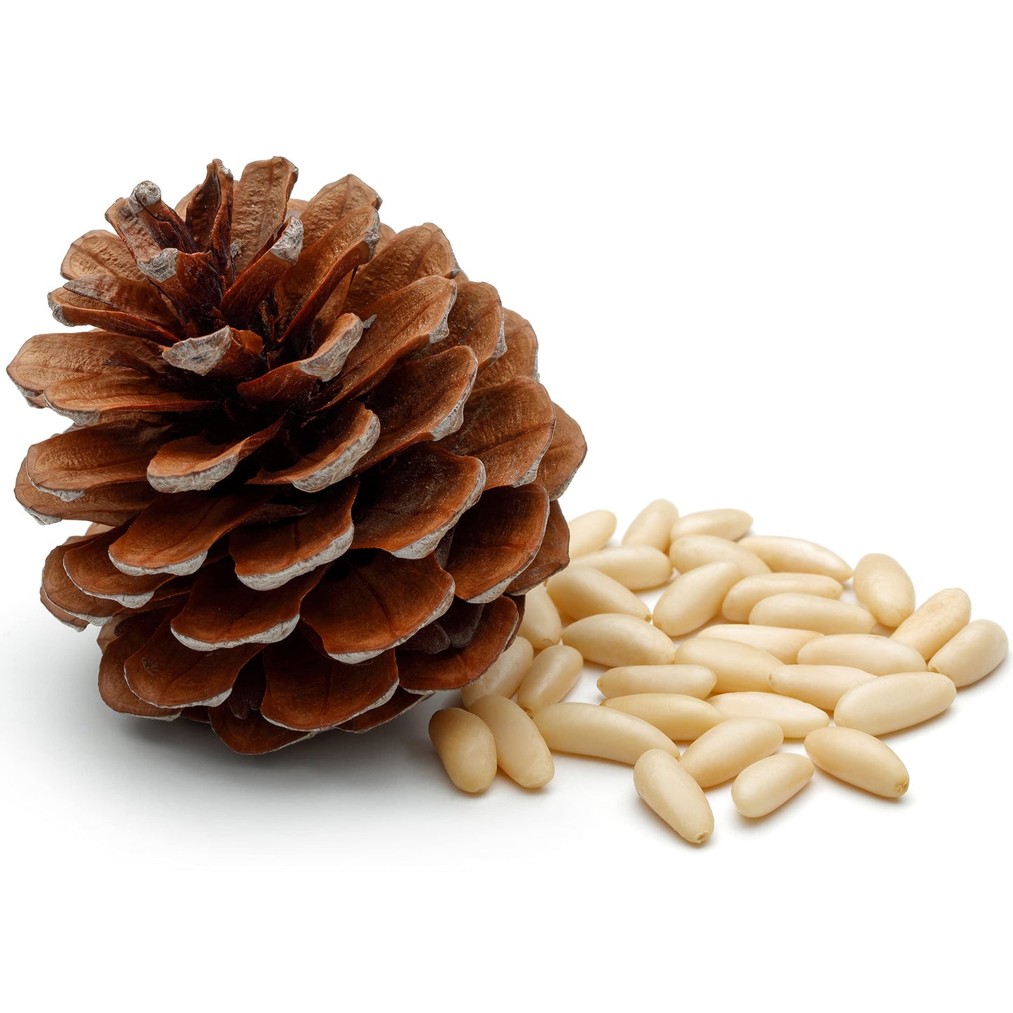 Cerez Pazari World Famous Mediterranean Turkish Pine Nuts In Resealable Bag 4 Oz- Cam Fistigi - Premium Quality, Raw, Unsalted,%