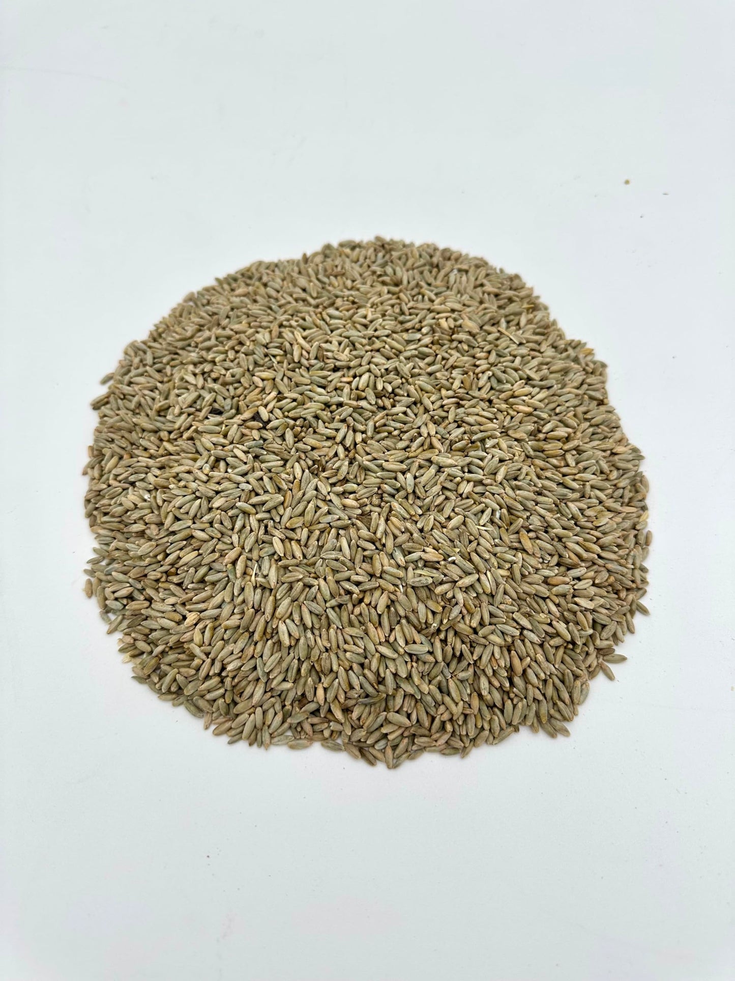 Rye Berries, 20Lb Bucket With Mylar And Oxygen Absorber, Non Gmo, No Glyphosate Residue, Lab Verified Chemical Free, Enhanced Packaging 25 Year Shelf Life, Kosher, Utahs Own, Great For Baking And Brewing, High Trust / Employee Owned Seller
