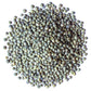 Food To Live Organic French Green Lentils, 2 Pounds - Non-Gmo, Whole Dry Beans, Raw, Sproutable, Vegan, Kosher, Bulk. Rich In Fo