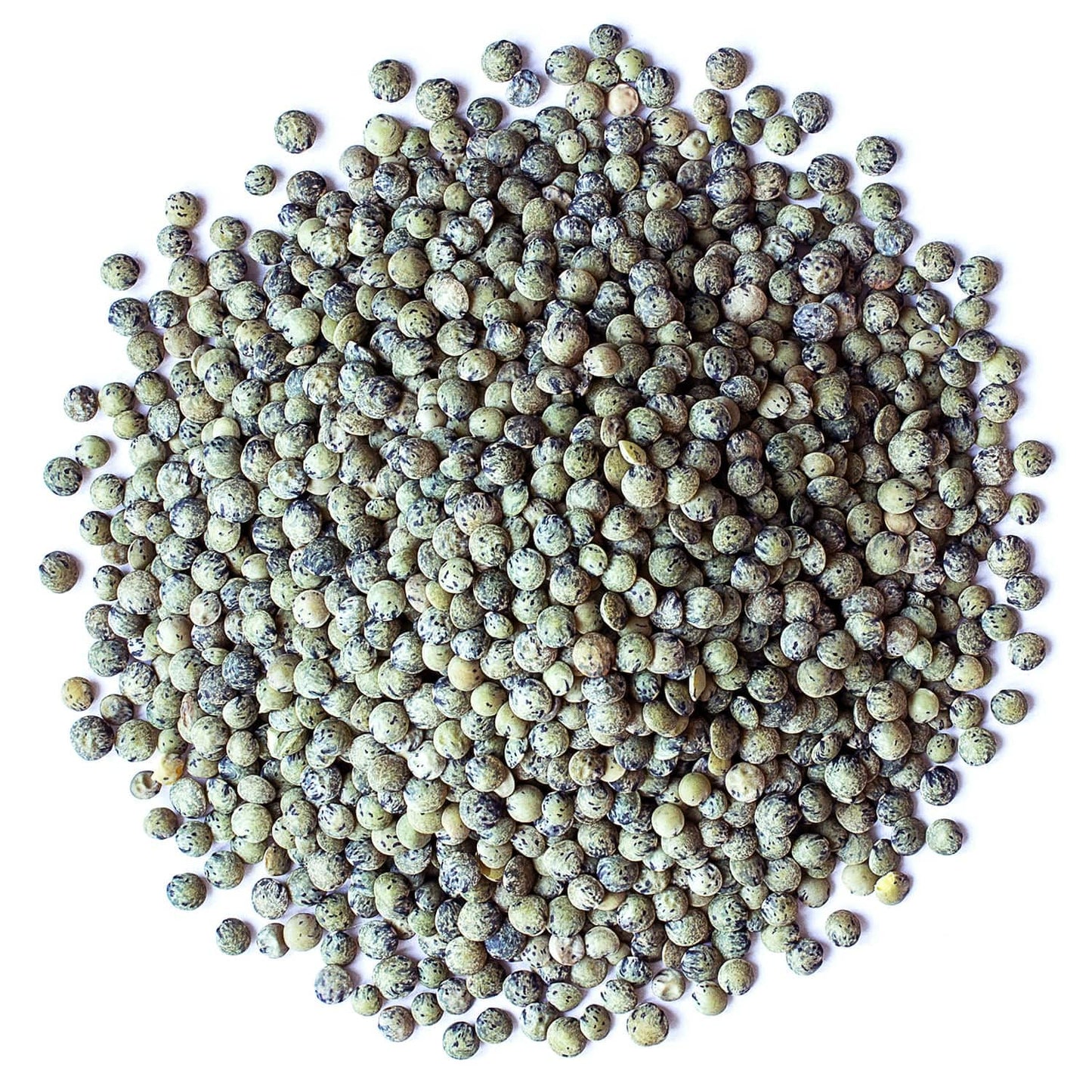 Food To Live Organic French Green Lentils, 2 Pounds - Non-Gmo, Whole Dry Beans, Raw, Sproutable, Vegan, Kosher, Bulk. Rich In Fo