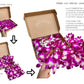 Sunne Tropical Fresh Orchid Loose Bloom Flowers 100 PURPLE for DIY Lei and Decorations