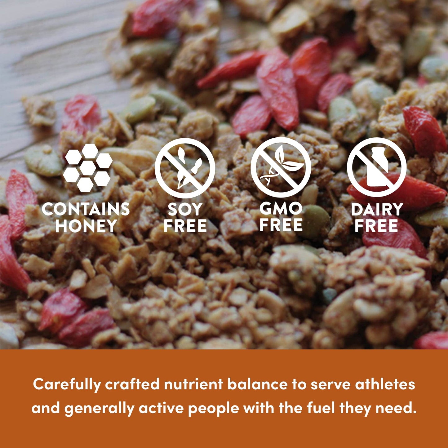 Picky Bars Performance Protein Granola, Gluten Free, Non-Gmo, Non-Dairy, Sassy Molassy, 106 Oz Bag (10 Servings)