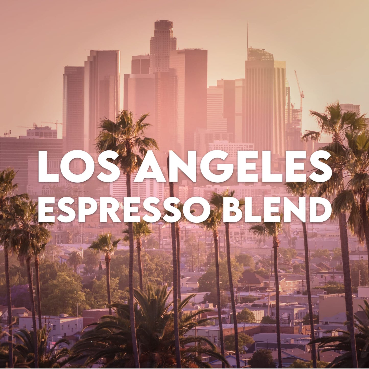 Volcanica Coffee Los Angeles Espresso Blend Light Roast Whole Bean 5 lbs Brown