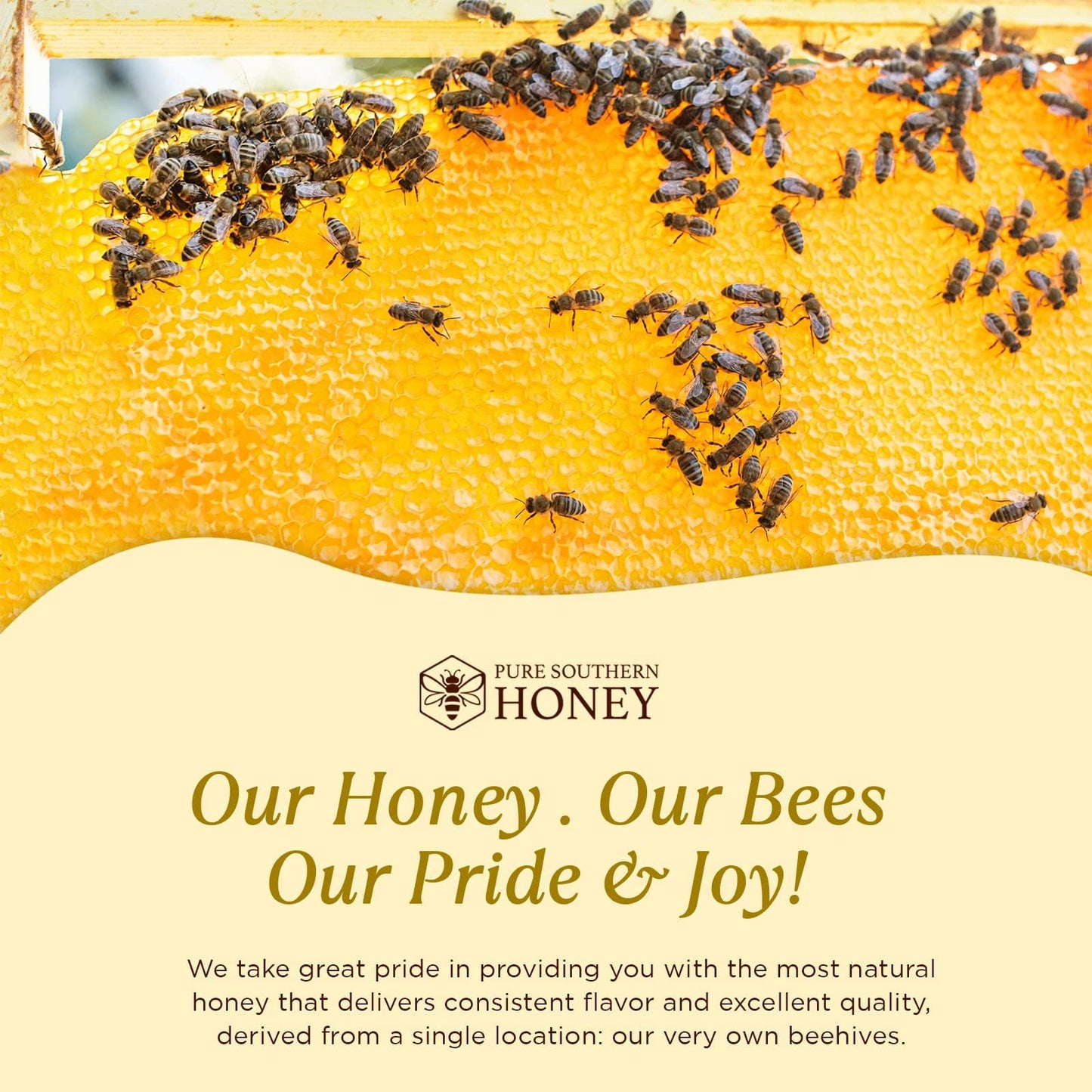 100% Raw & Unfiltered Wildflower Honey - American Made By Pure Southern Honey (48 Ounce)