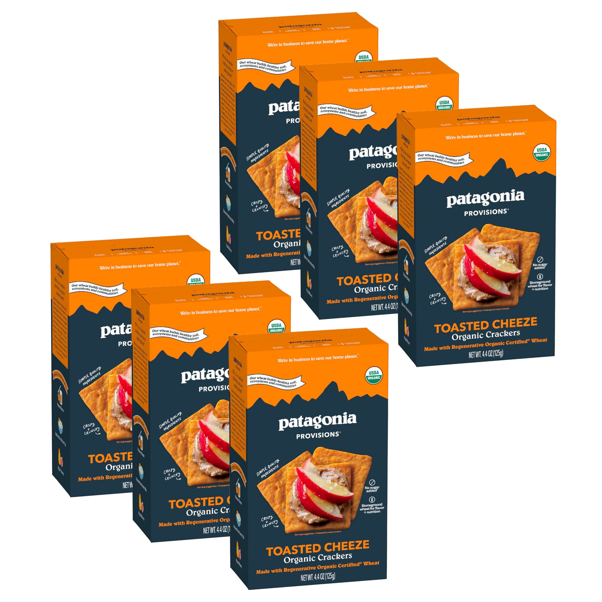 Patagonia Provisions - Toasted Cheeze - Certified Organic Crackers - Non-GMO, Plant-Based, No Added Sugar (6 Pack)