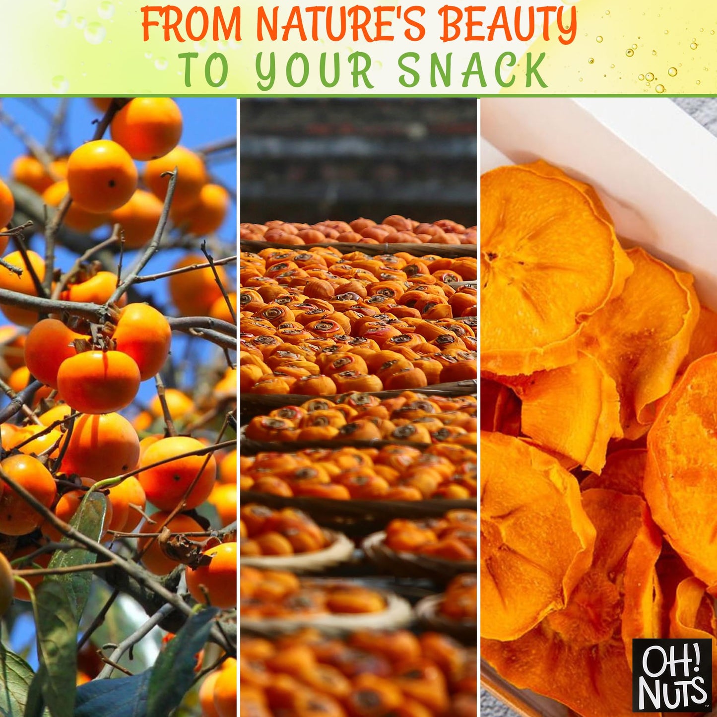 Oh! Nuts Dried Persimmons | Dry Fruits, Exotic Asian Snack Slices | Naturally Sweet, No Additives | In Resealable Stay-Fresh 1-P
