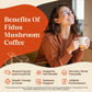 Fidus 16 in 1 Mushroom Coffee with 80 000mg Adaptogenic Mushrooms with Ashwagandha  Probiotic  Magnesium and Lions Mane Instant Mushroom Coffee for Focus  Energy  Immunity & Digestion  40 Servings