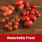 Mutti Pizza Sauce with Basil & Oregano, 14 oz. | 6 Pack | Italys #1 Brand of Tomatoes | Fresh Taste for Cooking | Canned Sauce |