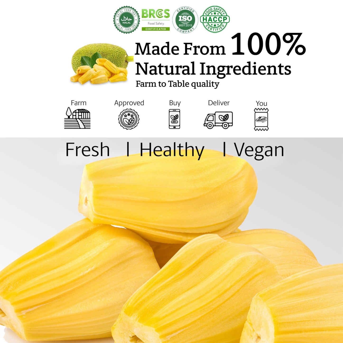 Vinamit Dried Jackfruit Chips | Gluten-Free, Vegan, Non-GMO | 3.5 oz Bag | Pack of 3 | Naturally Sweet & Crispy Snack