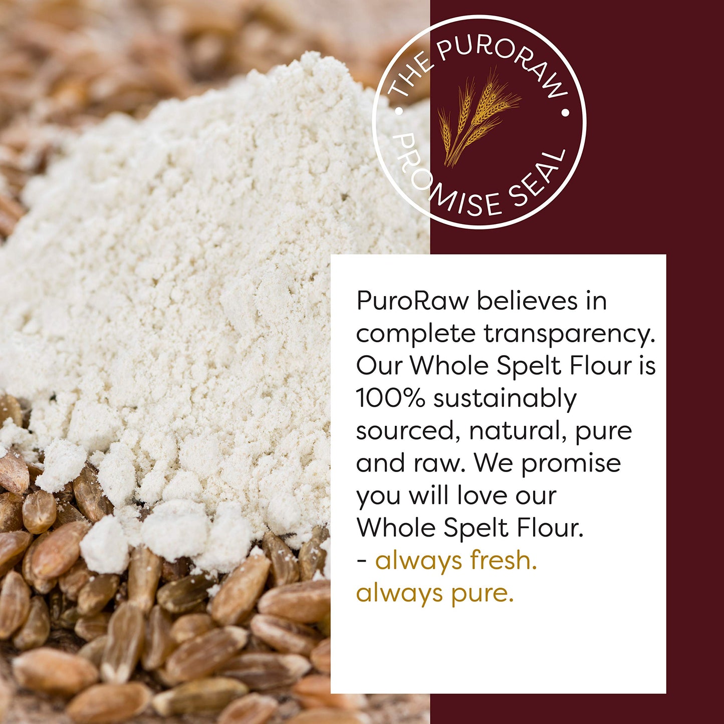 PuroRaw Whole Grain Spelt Flour, Non-GMO, 32 Ounce (2lbs), All Natural, Product of Canada