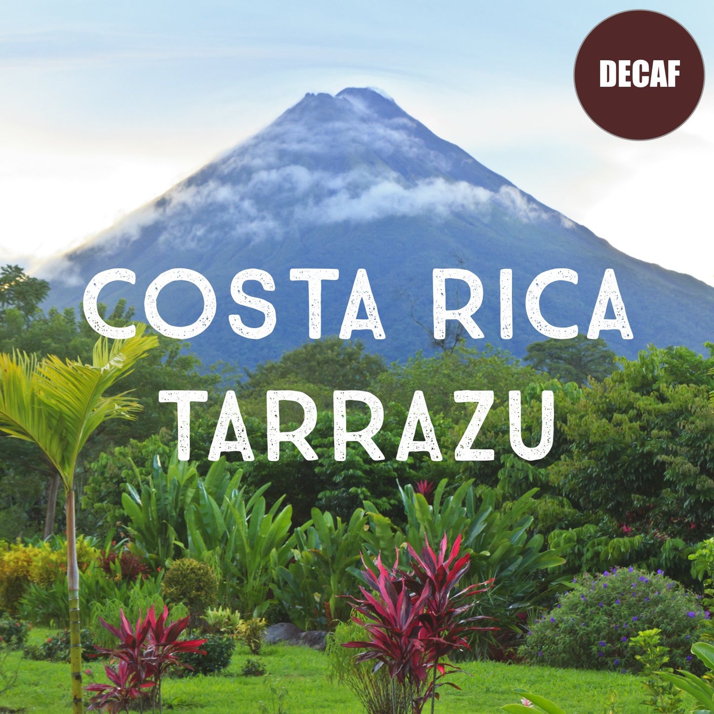 Volcanica Coffee Costa Rica Decaf Tarrazu, Whole Bean, Swiss Water Processed, 16 Ounce, Brown