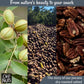 Pecans | Dry Roasted Salted | 2 lb | Oil-Free, All Natural Pecans | Packed in New York Zip-Seal Bag for Exceptional Freshness by