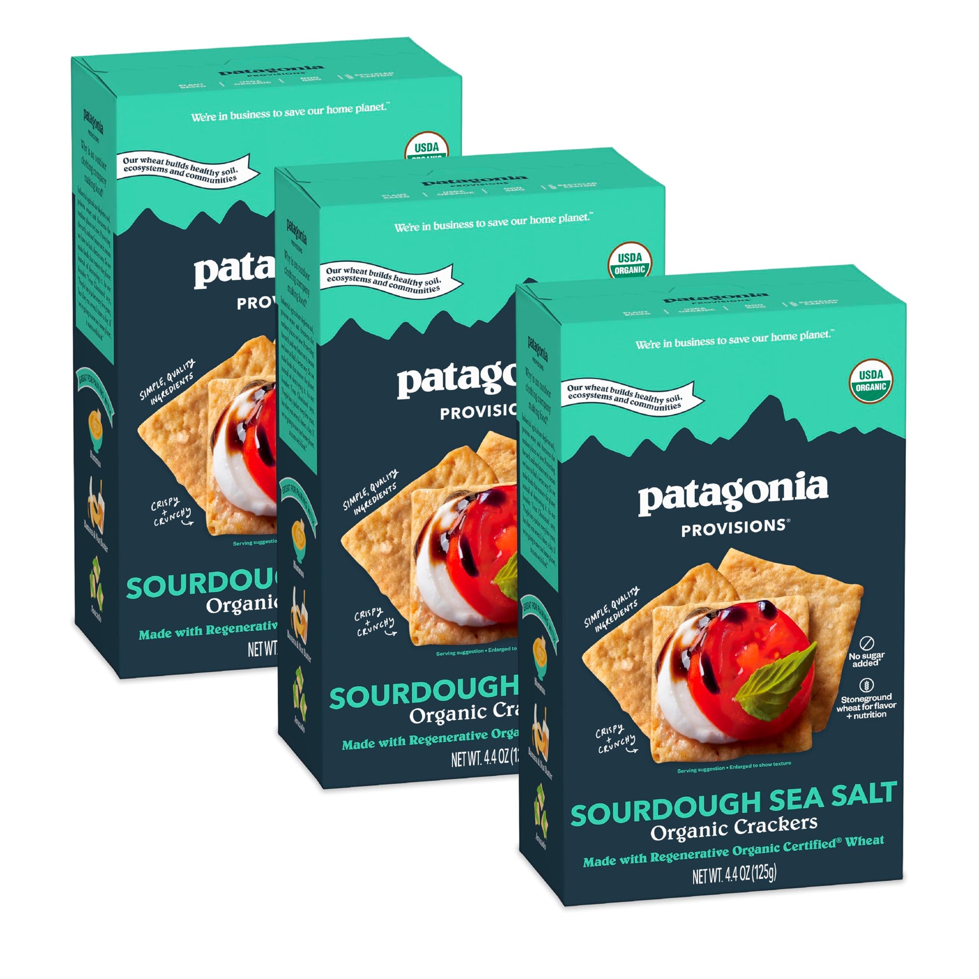 Patagonia Provisions Organic Sourdough Sea Salt  Ers (3 Pack) – 3G Plant Protein Per Serving – Made With Wheat Flour & Sea Salt – Non-Gmo, No Added Sugar - Crispy & Crunchy