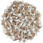 All Flavor Gourmet Saltwater Taffy (Chocolate, 5 Lb)