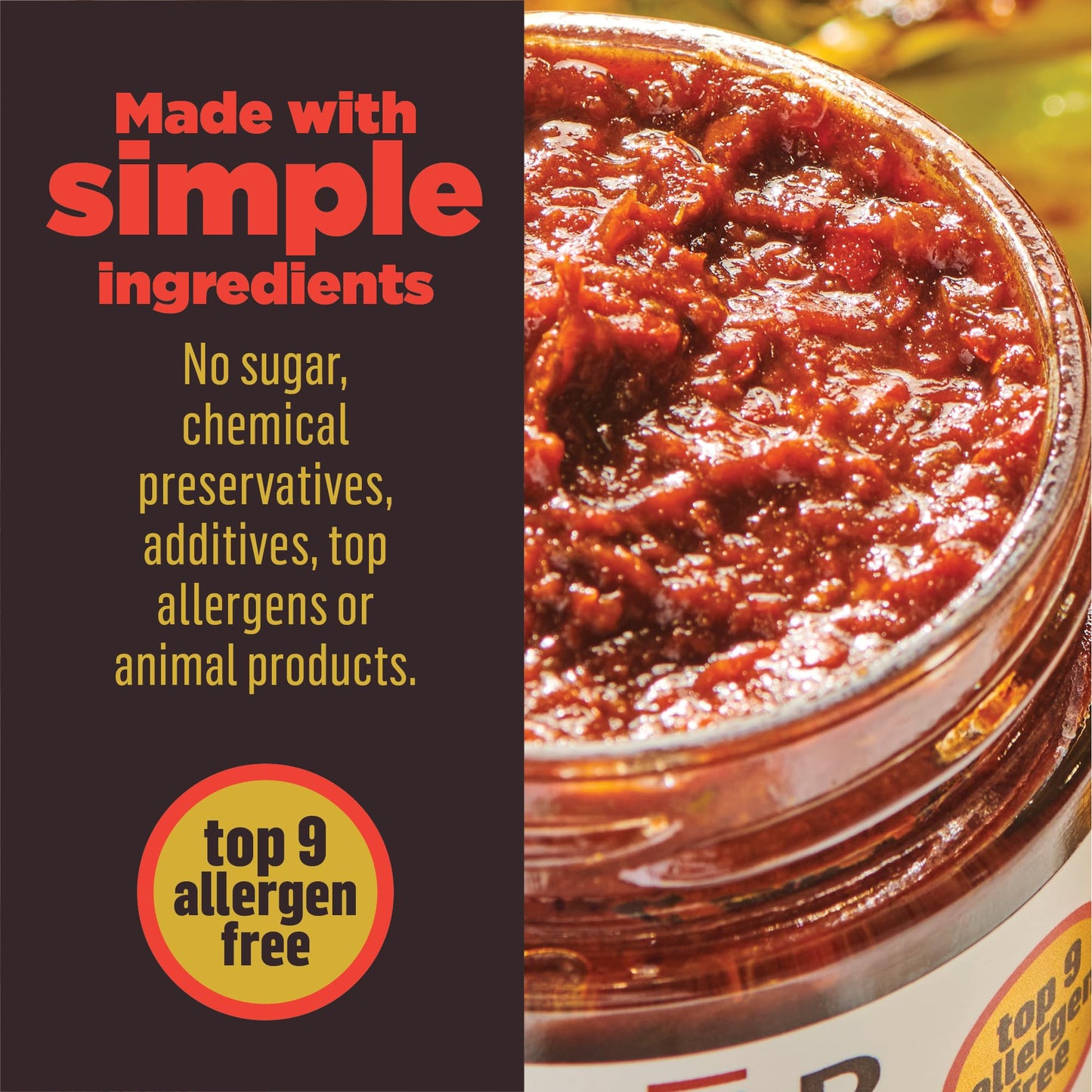 Pur Spices Chipotle Fire Spicy Hot Sauce I Chili Pepper Cooking Paste For Dipping, Chili Seasoning, Taco Sauce, Salsa I Plant Ba