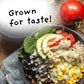 4 Sisters Long grain Brown Rice - Organic - USA grown - Sustainably grown - Women Owned - Farm to Table - 2lb