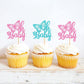 Ercadio 24 Pack Cupcake Toppers Picks Assembled Decors Glitter For Theme Kids Birthday Party