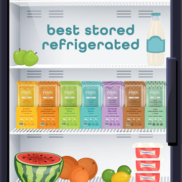 Feel Vegan Protein Bars | Brownie Chocolate Chip | Keto | Gluten Free | Organic | Lions Mane | 15g Plant Protein | Low Carb | Hi