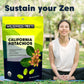 Wilderness Poets, Organic, Whole, Raw Pistachios - Grown In California, Fresh, Bright Green, Unsalted, Unroasted, Bulk Size (80