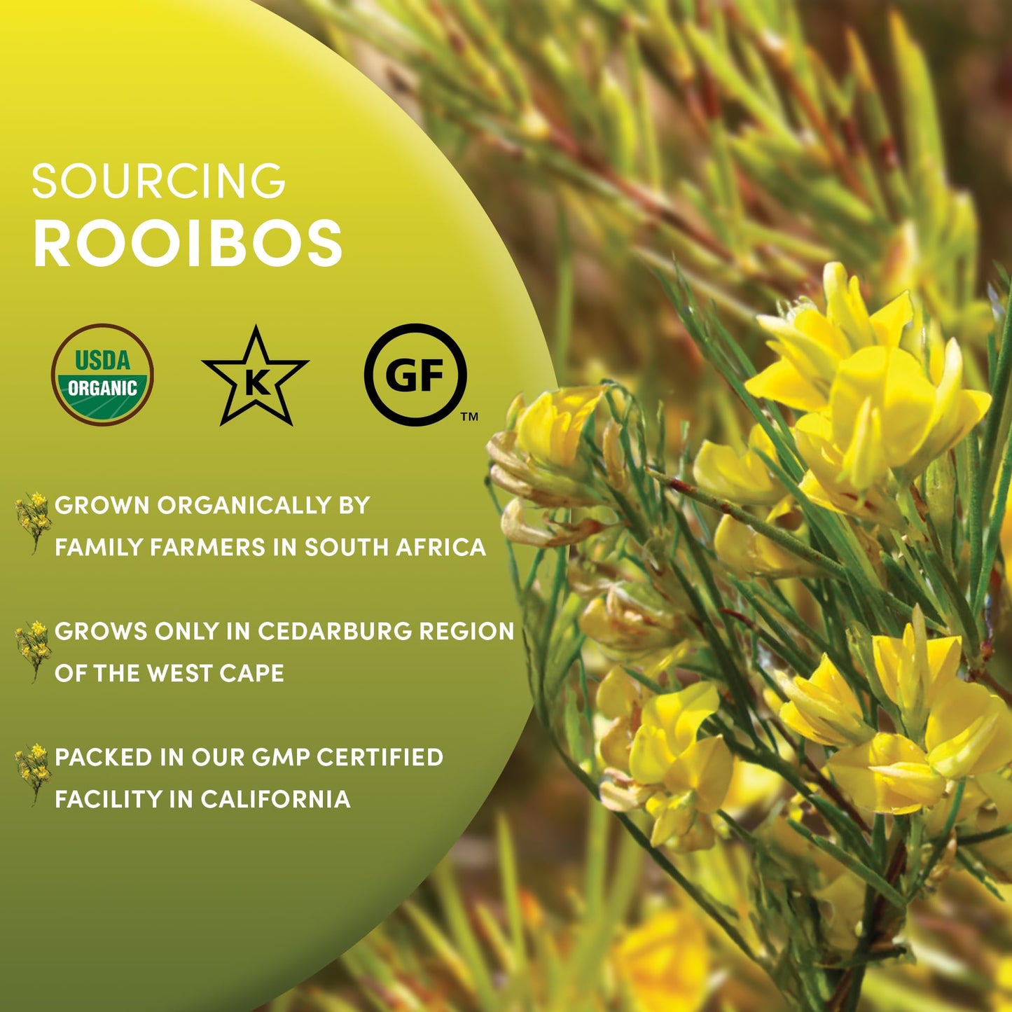 Worldwide Botanicals Organic Red Rooibos Tea Loose Leaf - 8oz Resealable Bag - 100% South African Aspalathus linearis