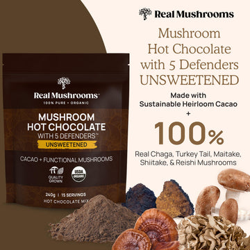 Real Mushrooms Organic Hot Chocolate Mix with 5 Mushroom Defenders, 8.4 Ounce, Vegan, Model 2334-RM-HCU240