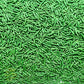 Se Si&Moos Sage Green Jimmies Sprinkles Edible Green Sprinkles Soft Jimmies Soft Sprinkles For Topping Ice Cream, Cookies, Cakes