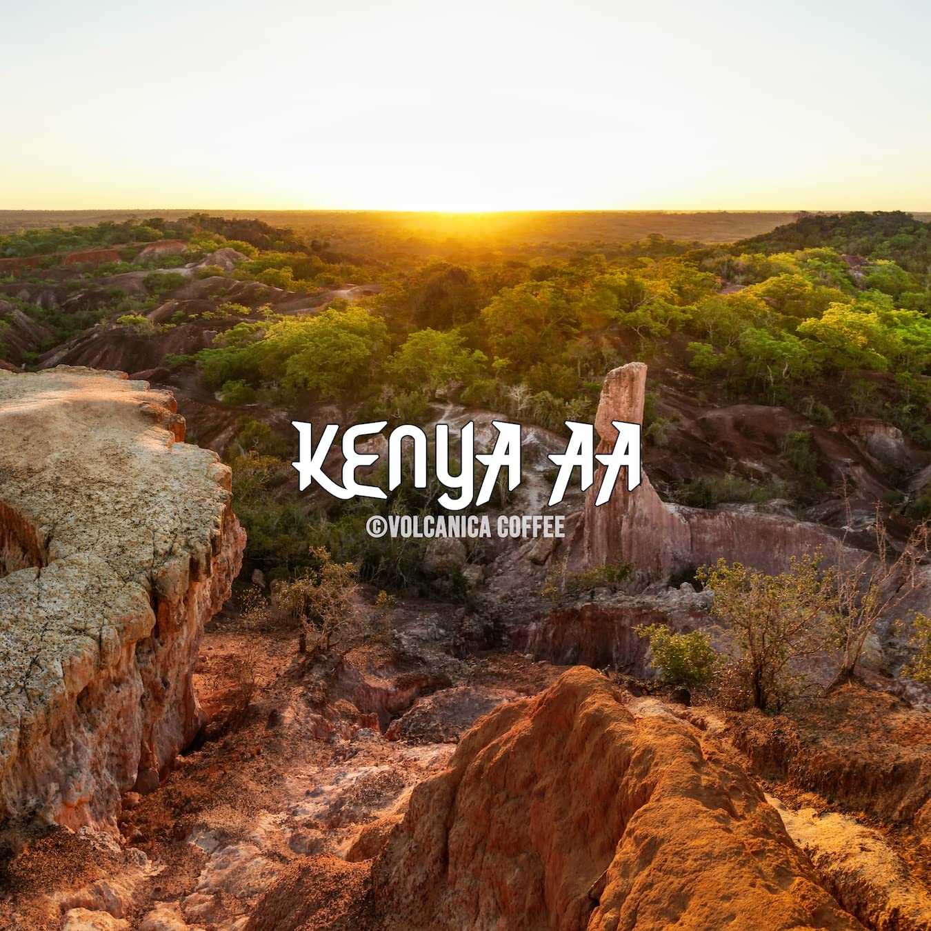 Volcanica Coffee Kenya AA Coffee, 100% Pure Ground, Fresh Roasted, 16 oz, Brown